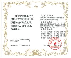 图片11